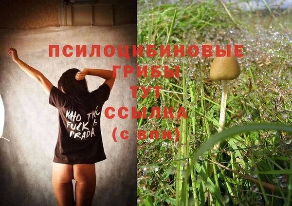 ешки Балахна