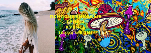 ешки Балахна