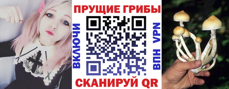 Галлюциногенные грибы мицелий  купить  цена  Орлов 